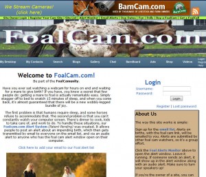 foalcam