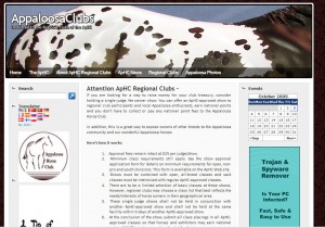 appaloosaclubs.com